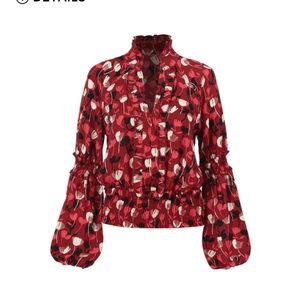 Beautiful blouse with stunning sleeves